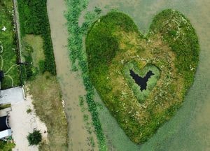 [드론이 본 세상] 여주 남한강변에 숨겨진 “두근두근 하트♥섬”