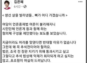 김은혜 “언론중재법, 생선 살 발라낸다고 뼈가 어디 가겠느냐”