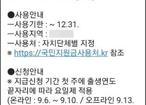 오늘부터 지급되는 국민지원금 ‘국민비서’로 알림받아