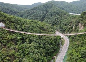 [드론이 본 세상] '솔향기에 아찔'...가을 찾아온 ‘감악산 출렁다리’