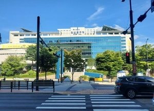 [화요기획] 고양시에 더 편하고 안전한 ‘진짜 횡단보도’ 생겼네