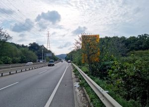 나무에 가려진 교통표지판 ‘안 보여’