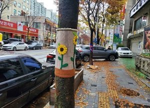 [포토] 겨울옷 입은 가로수들..
