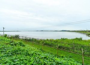 김포시, 삼성SDS 컨소시엄 간 감시장비 소송서 "최종 승소"…철책 철거 탄력