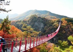 [화요기획] “내년도 예산안으로 보는 2022 파주시”