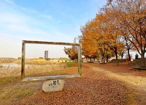 [포토] 시흥 갯골 생태공원의 "가을 끝자락 풍경"