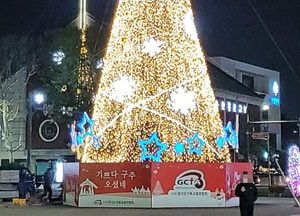 [포토] 불 밝힌 "화성행궁 크리스마스 초대형 트리"