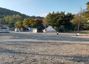 도 특사경, 축구장 5배 규모 산지 무단 훼손 행위 51건 적발