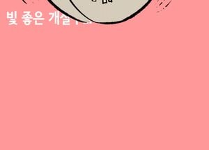 빛 좋은 개살구...