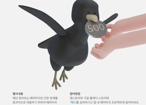 까마귀 떼 골치 ‘수원·화성·안산, 까마귀 사진 촬영·등록하면 500원’