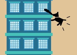 부부싸움 뒤 반려견 16층 아파트 창밖으로 던져 죽인 여성 벌금형