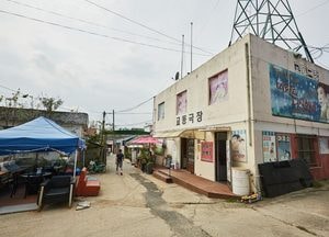 [화요기획] 황해도 연안시장 옮겨 놓은 듯...‘교동도, 대룡시장’