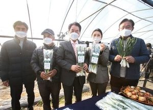 용인시, 줄기와 잎 모두 먹는...전국 최초 친환경농법 ‘양대파’ 출하