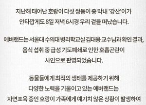 에버랜드 새끼 한국호랑이 막내 '강산' 급성 기도폐쇄 사망