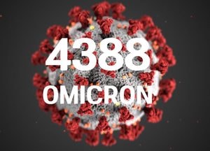 코로나19 신규 확진자 4388명...“해외유입 381명 역대 최다”
