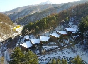 산림자원 이용 탄소중립 실현...‘미래 자원 산림’에 1309억 푼다