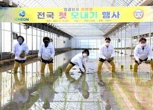 이천에서 전국 첫 모내기...6월 수확 예상
