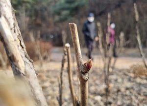 [포토] 찬바람 불어대는 두 번째 절기 ‘우수’ 풍경