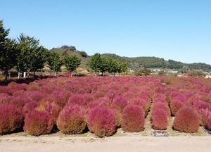 경기도, 주민 주도형 ‘생태관광 거점 3곳’ 연내  완성한다