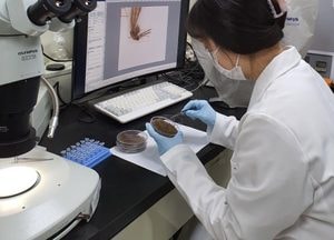 최근 3년간 말라리아 감염환자 4~7월 집중..경기도, 주의 당부
