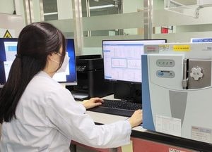 경기도, 방풍나물 등 봄나물 2건에서 잔류농약 초과 검출...'전량 압류 폐기 조치'