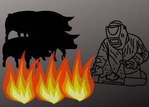 안성 농장서 불, 돼지 460마리 폐사 '용접 작업 불티 원인'