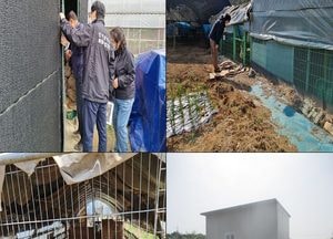인천 특사경, 남동구 일대 그린벨트 내 비닐하우스 불법사용 13건 적발