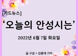 [카드뉴스] ‘오늘의 안성시는’