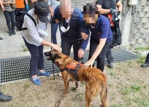경기도북부소방재난본부 119구조견 ‘전진’ 실종 80대 치매노인 무사히 구조