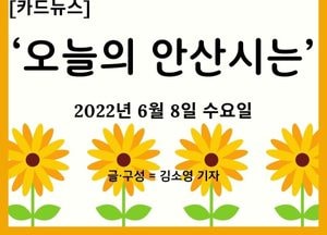 [카드뉴스] ‘오늘의 안산시는’