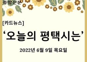 [카드뉴스] ‘오늘의 평택시는’