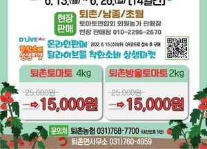 “벌이 수정한 맛 좋은 퇴촌 토마토 팔아요”···광주시, 축제 대신 ‘토마토 팔아주기 운동’