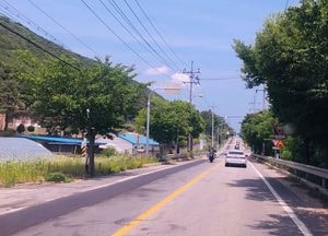 북한강변 관광지 인파 사이로 폭주하는 오토바이들 ‘아슬아슬’