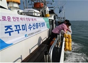 인천시, 인기 수산자원 쭈꾸미 ‘영종·영흥·강화 해역에 50만 마리 방류’