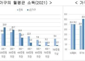 경기도 1인 가구, 셋 중 하나는 월평균 소득 100만원 미만