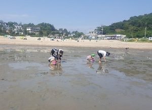“인천지역 해수욕장으로 오세요”···28곳 순차적 개장