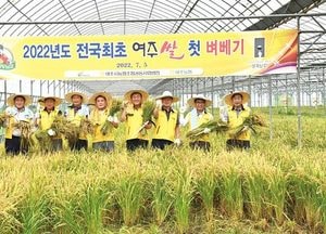 여주시, 홍기완씨 농가서 ‘전국 최초 벼베기’ 행사 열어