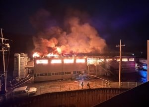 화성 주방가구 제조공장서 불, '전직원 휴가' 인명피해 없어