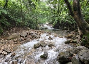 가평 계곡서 물에 빠진 아버지 구하려던 아들도 휩쓸려…父子 숨져