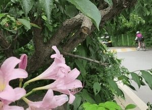 무더위 절정 ‘폭염’...양평 계곡마다, 피서객 ‘북적’