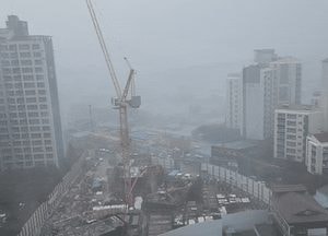 여주에 천둥·바람 동반한 세찬 소나기 30분째 내려