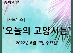 [카드뉴스] ‘오늘의 고양시는’