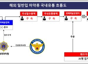 수백억대 필로폰 국내에 판매하려던 태국인 마약사범 ‘구속’