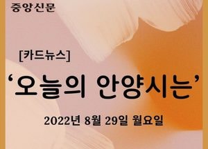 [카드뉴스] ‘오늘의 안양시는’