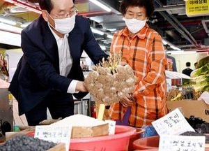 강화군 먹거리·볼거리 풍성한 대한민국 보물섬...유정복 인천시장 ‘민생소통 대장정’ 강화 방문