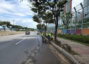 김보라 안성시장, ‘힌남노’ 북상...지금은 비설거지 해야 할 때