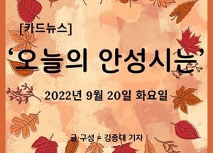 [카드뉴스] ‘오늘의 안성시는’