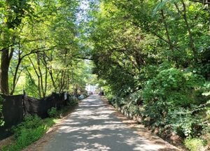 [인천둘레길 - 9코스] 술바위·갑옷바위·배바위, 꽤 흥미로운 ‘문학산 바위 설화’
