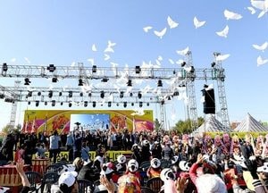 파주시, 오래 기다렸던 ‘파주개성인삼’ 축제 '4년 만'에 선보인다