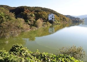 김보라 안성시장 “금강호수 녹조원인은 적은 강수량”
